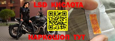 амф Кунгур